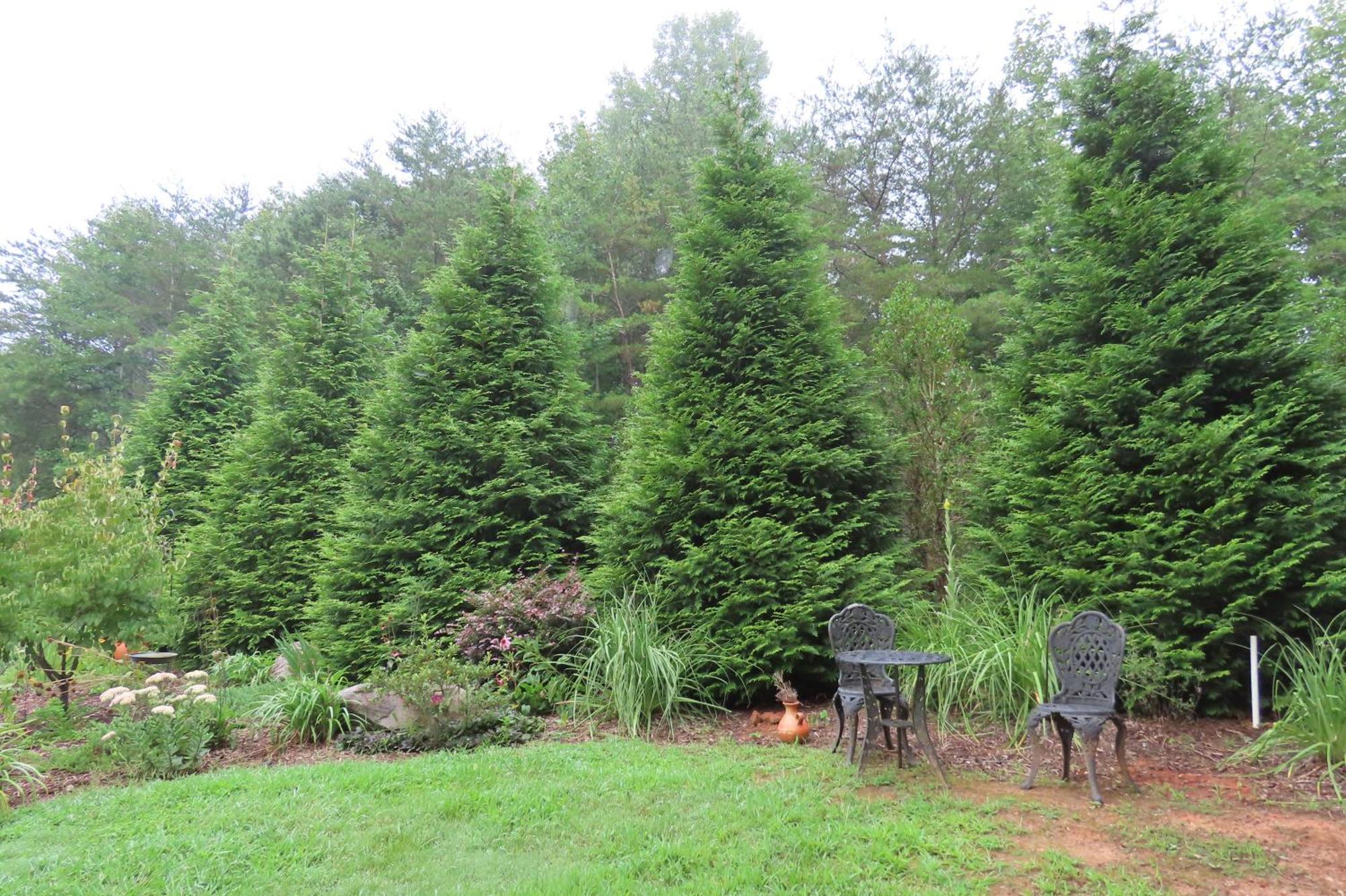 Scenic Fox Ridge Cabin On 4 Acres With Hot Tub! Whittier Buitenkant foto